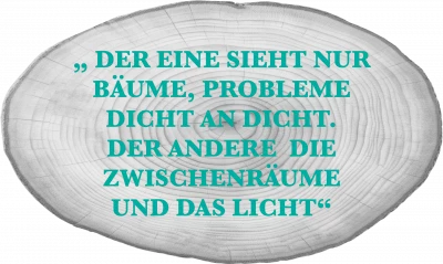 Baumscheibe